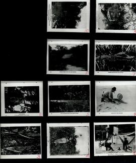 BGR foto ep-00.1988.2 366