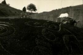 BGR foto tc-08.1978.1 016