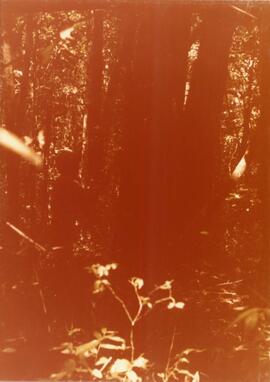 BGR foto tc-08.1977 062