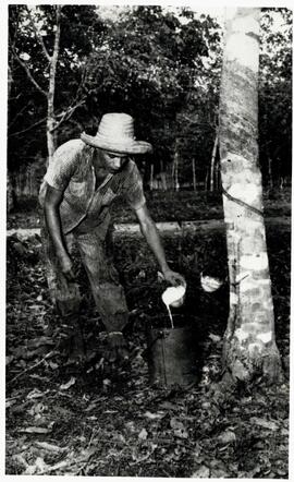 BGR foto ep-00.1988.2 206