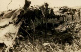 BGR foto ep-00.1 430